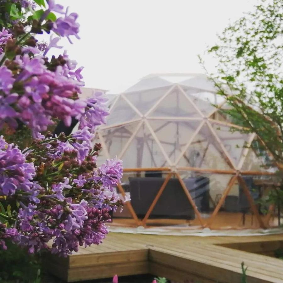 Le Dome Aux Oiseaux Hotel Bérig-Vintrange Kültér fotó